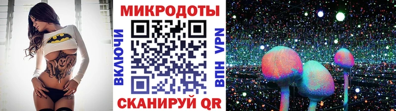 Псилоцибиновые грибы прущие грибы Апшеронск